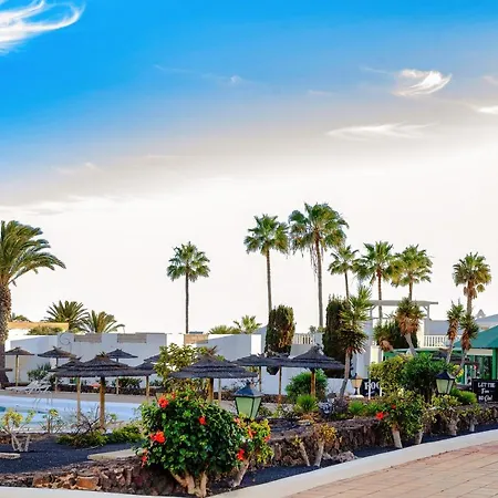 N E W 2021 My-lanza The Luxury One 코스타 테기세